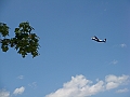 Western Michigan [2010] 374